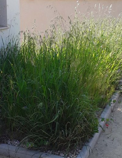 Entretien de Jardin à Sanary-sur-Mer