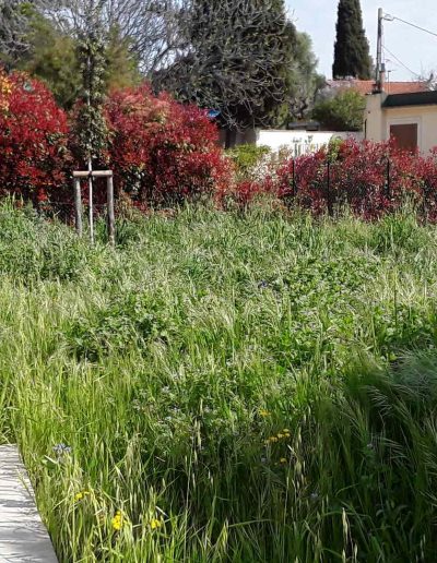 Entretien de Jardin à Sanary-sur-Mer