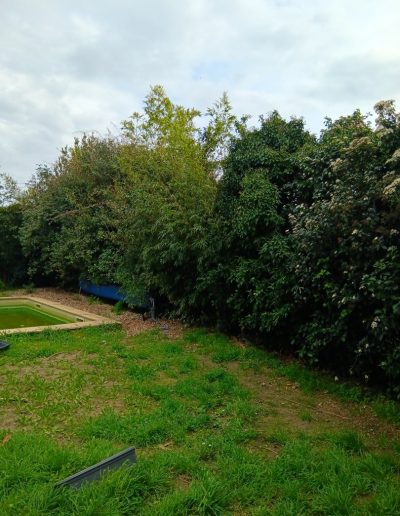 Entretien de Jardin à Sanary-sur-Mer