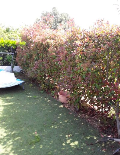 Entretien de Jardin à Sanary-sur-Mer